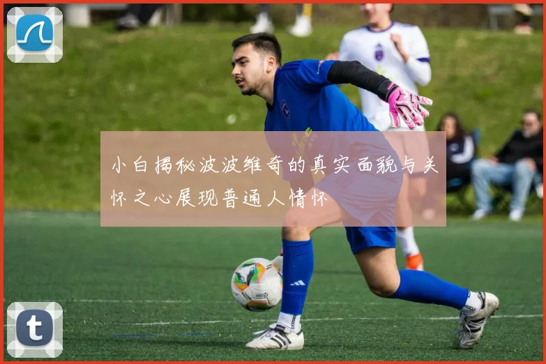 小白揭秘波波维奇的真实面貌与关怀之心展现普通人情怀